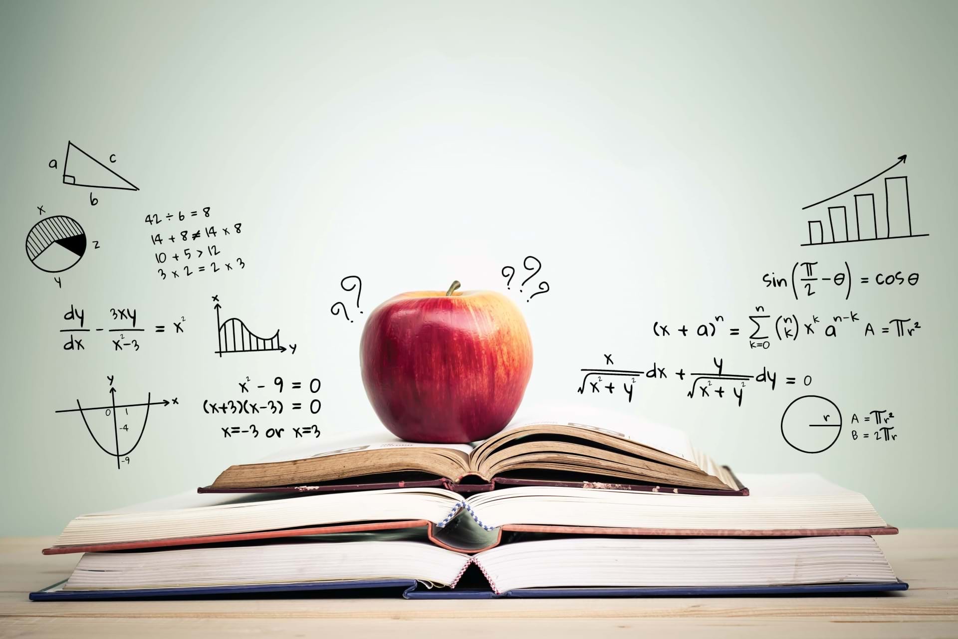 Programe de formare pentru proiectul Rose